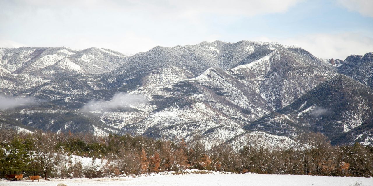 La vida merece menos protección constitucional que la propiedad privada