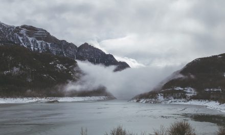 Compliance: ¿qué delitos prevenir?