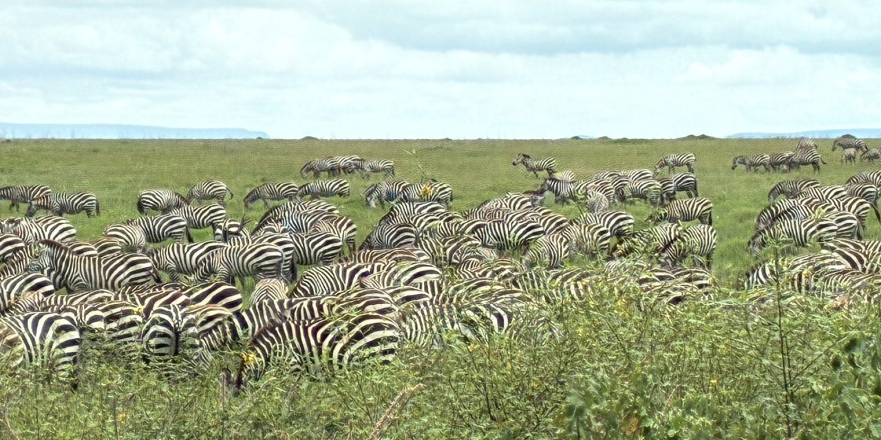 Op Ed. Las historias que contamos los juristas