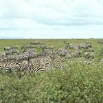 Op Ed. Las historias que contamos los juristas