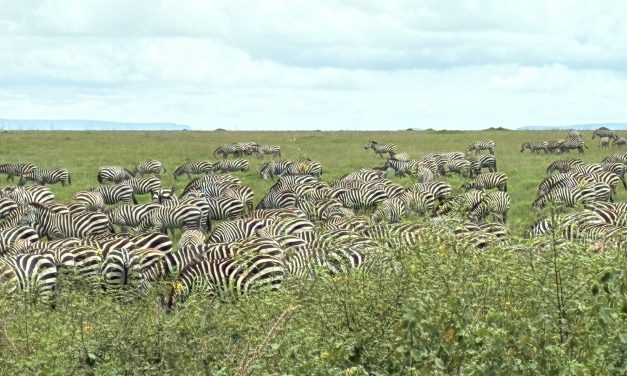 Op Ed. Las historias que contamos los juristas