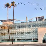 MASC, conflictos societarios 2.0 y disputas post-M&A