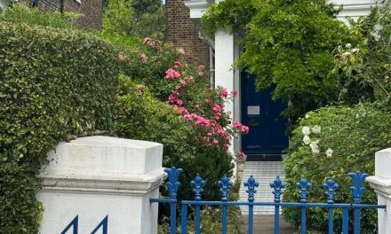 Cuando el cumplimiento de la Ley no basta:  los deberes de los administradores al difundir la convocatoria de la Junta General