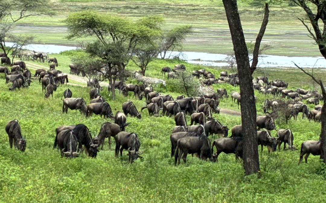 Precios personalizados y dinámicos en el seguro tras la Ley 10/2025, de 26 de diciembre, de Atención a la Clientela