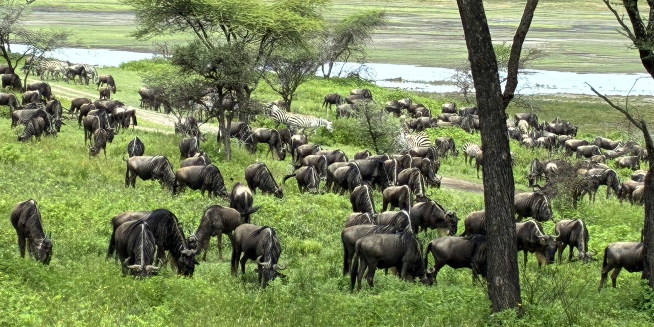 Precios personalizados y dinámicos en el seguro tras la Ley 10/2025, de 26 de diciembre, de Atención a la Clientela