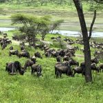 Precios personalizados y dinámicos en el seguro tras la Ley 10/2025, de 26 de diciembre, de Atención a la Clientela