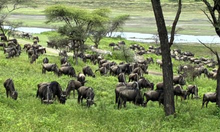 Precios personalizados y dinámicos en el seguro tras la Ley 10/2025, de 26 de diciembre, de Atención a la Clientela