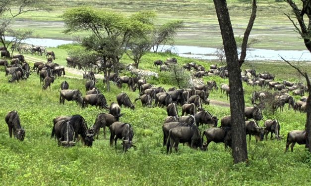 Precios personalizados y dinámicos en el seguro tras la Ley 10/2025, de 26 de diciembre, de Atención a la Clientela