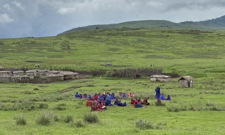La función epistémica del voto en las corporaciones: el voto como sistema de agregación de información