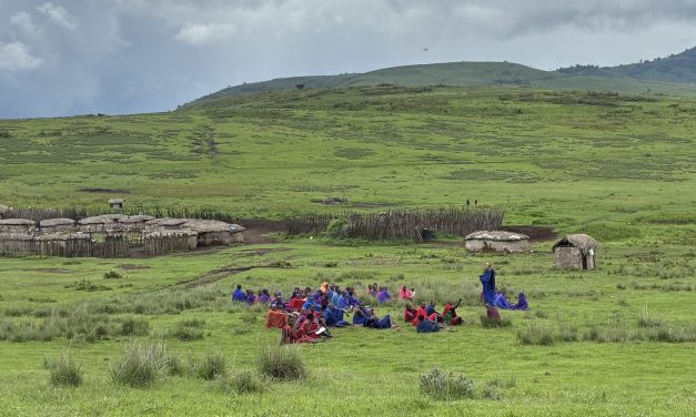 La función epistémica del voto en las corporaciones: el voto como sistema de agregación de información