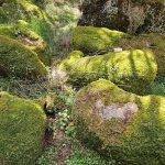 Los nuevos informes de sostenibilidad corporativa: algunas reflexiones críticas*