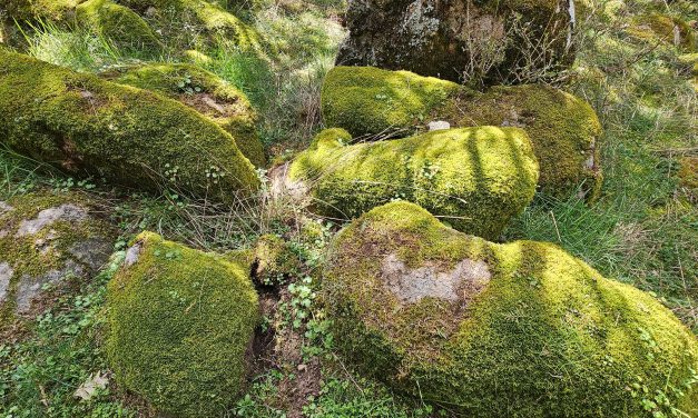 Los nuevos informes de sostenibilidad corporativa: algunas reflexiones críticas*