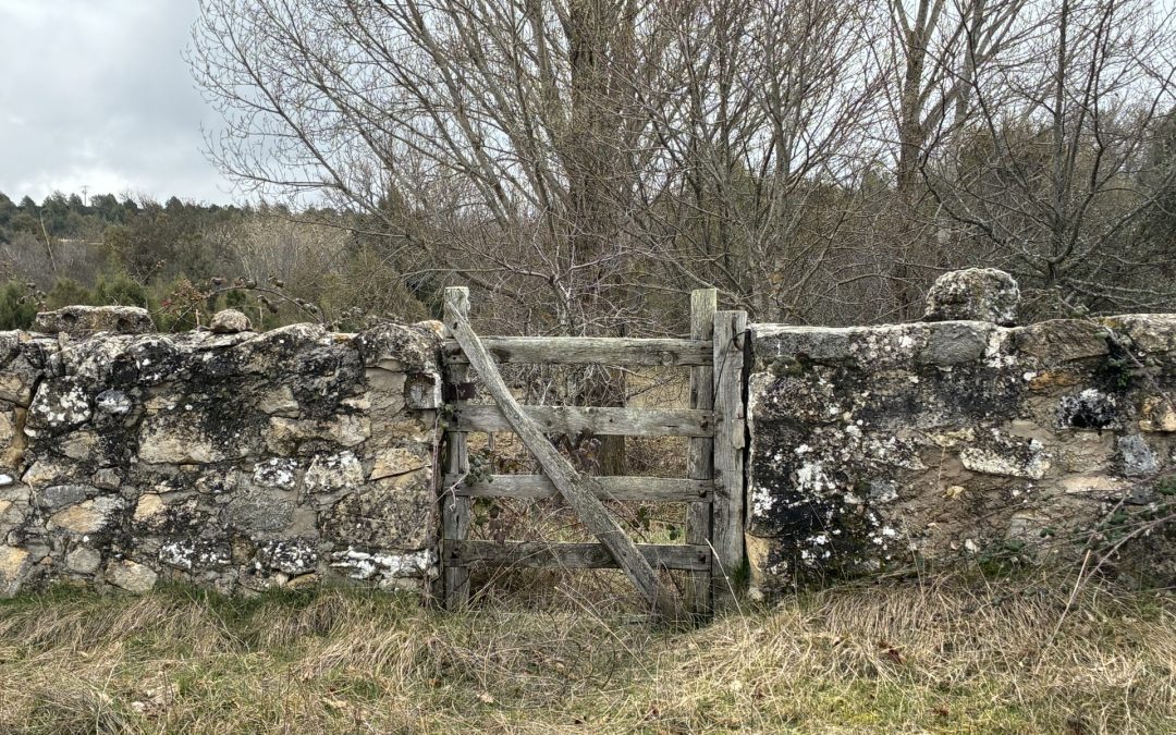 Sobre secretos y materias reservadas