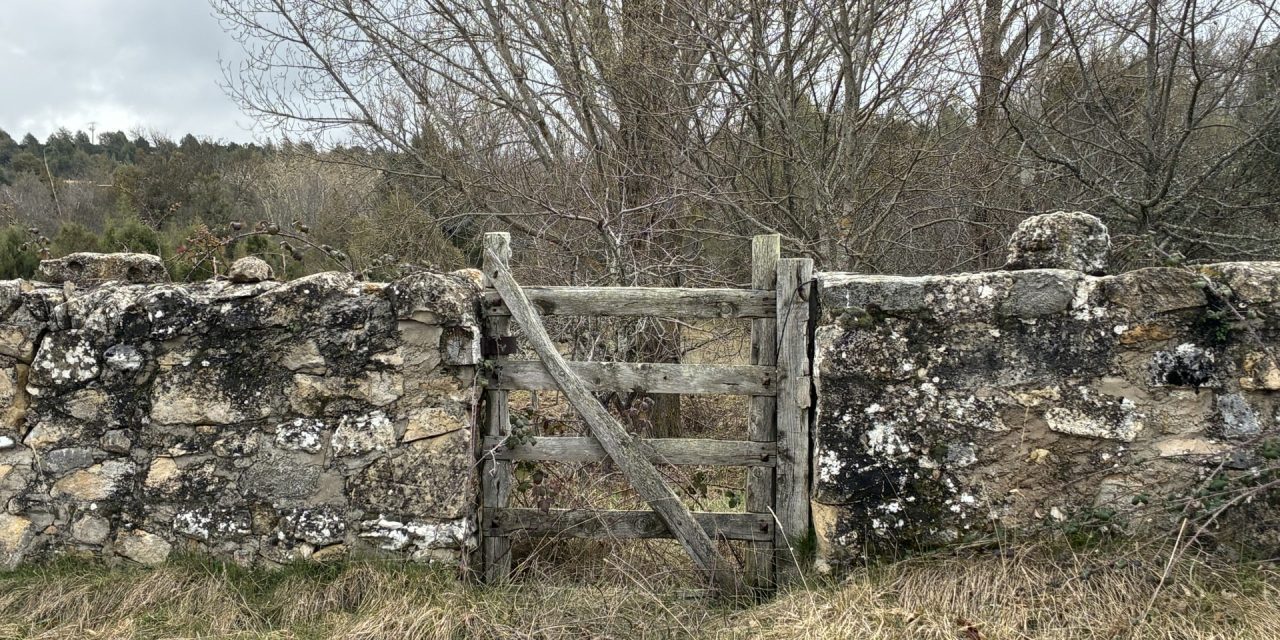 Sobre secretos y materias reservadas