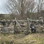 Sobre secretos y materias reservadas