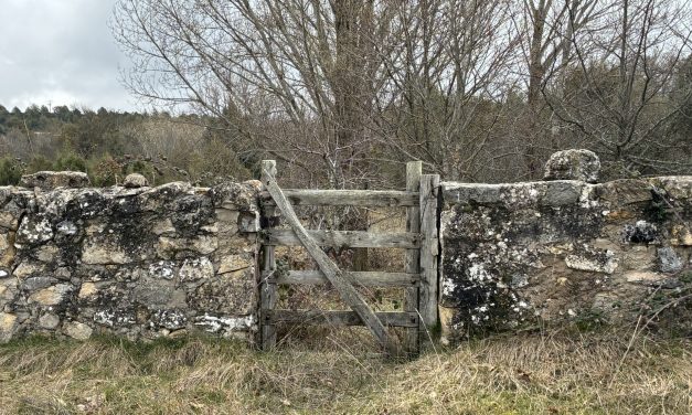 Sobre secretos y materias reservadas