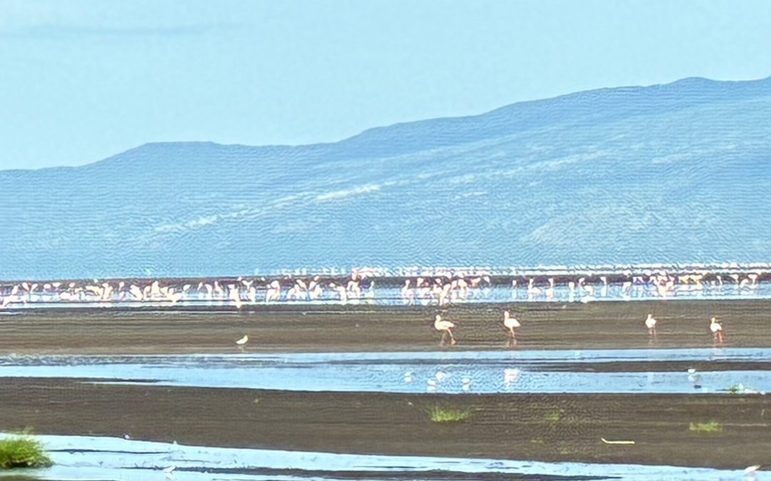 Clases de créditos, regla de la mayoría y perímetro de afectación: reflexiones sobre el encaje de las tres piezas