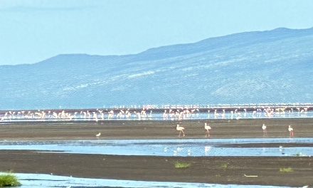 Clases de créditos, regla de la mayoría y perímetro de afectación: reflexiones sobre el encaje de las tres piezas