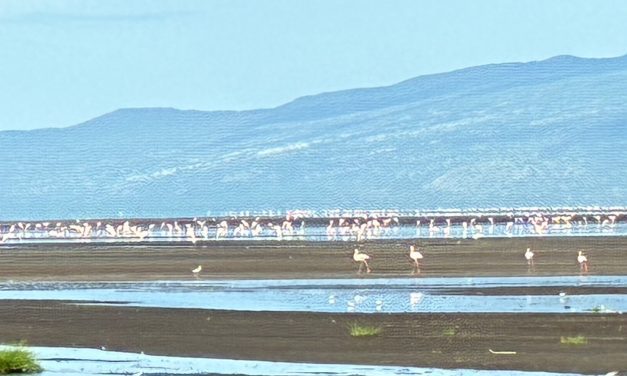 Clases de créditos, regla de la mayoría y perímetro de afectación: reflexiones sobre el encaje de las tres piezas