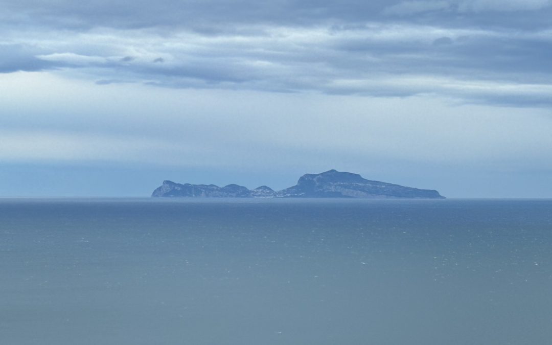 Error de derecho y cumplimiento normativo