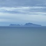 Error de derecho y cumplimiento normativo