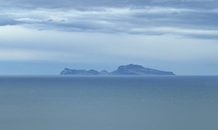 Error de derecho y cumplimiento normativo