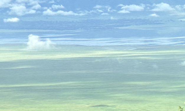 Los límites del Art. 6.1 Directiva 93/13