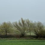 Daños por el cártel del papel y cartón ondulado: una sentencia difícil de leer y un caso mal cerrado