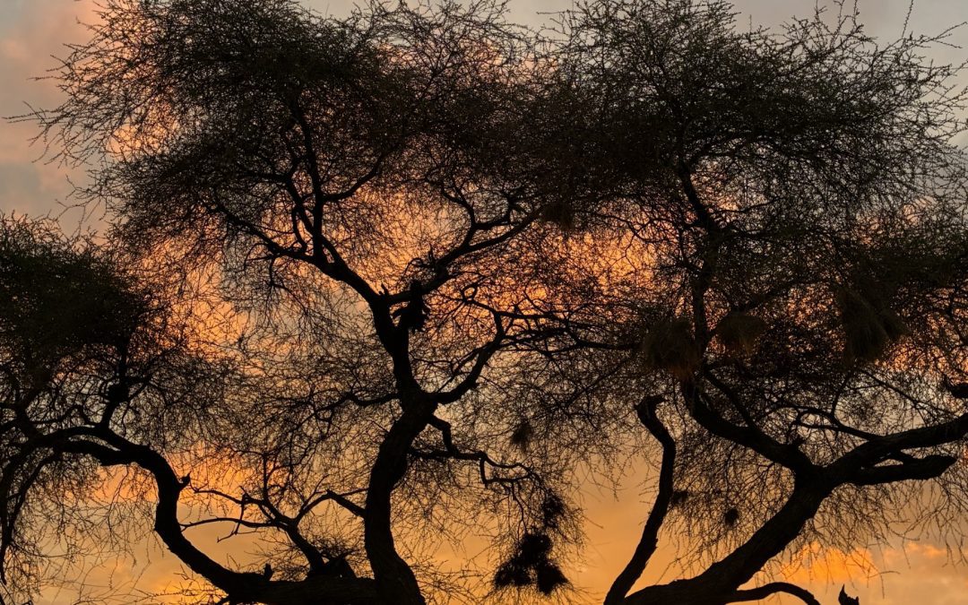 Una nota sobre la agravación de las multas penales a las personas jurídicas