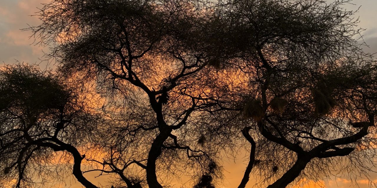 Una nota sobre la agravación de las multas penales a las personas jurídicas