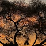 Una nota sobre la agravación de las multas penales a las personas jurídicas