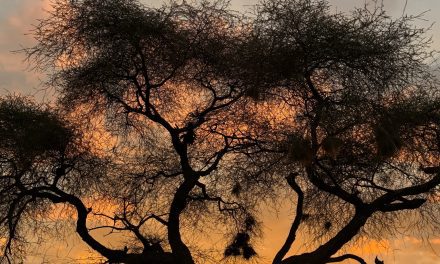 Una nota sobre la agravación de las multas penales a las personas jurídicas