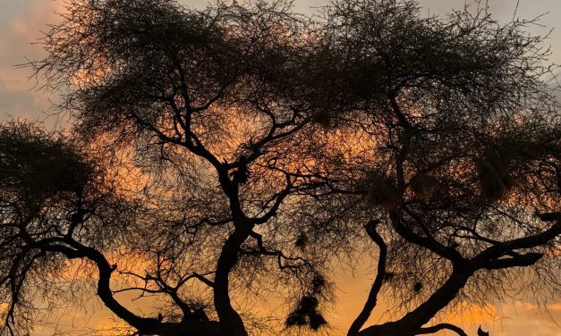 Una nota sobre la agravación de las multas penales a las personas jurídicas