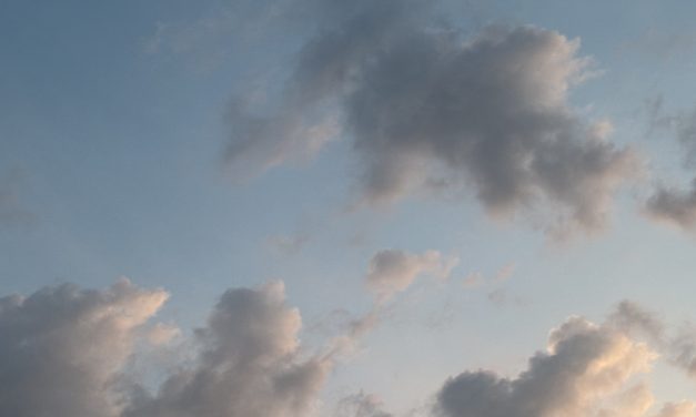 Aportación a una sociedad de una unidad económica de valor neto cero