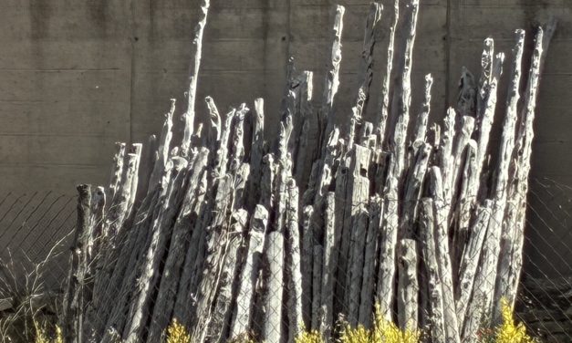 La prueba de peritos de parte en el litigio civil