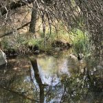 El silencio administrativo negativo en las licencias urbanísticas con incidencia ambiental