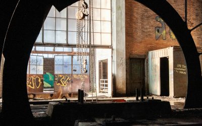 Cómo nace, crece y muere una «teoría» jurídica