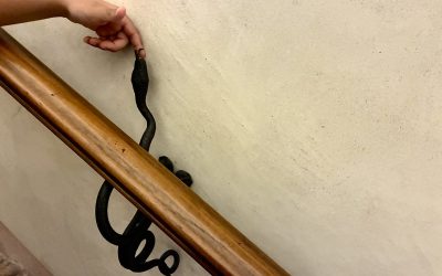 Cuando dos compradores dejan de competir: daños y concentraciones en el mercado de radiofármacos