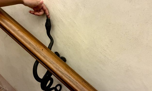 Cuando dos compradores dejan de competir: daños y concentraciones en el mercado de radiofármacos